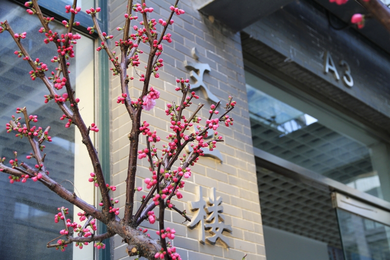 F6福鹿会_官方网站app下载