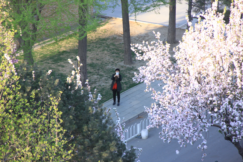 F6福鹿会_官方网站app下载