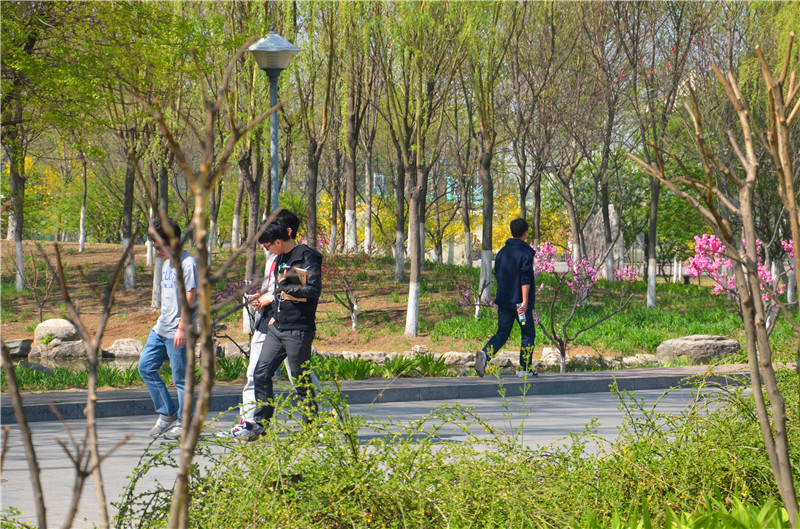 F6福鹿会_官方网站app下载