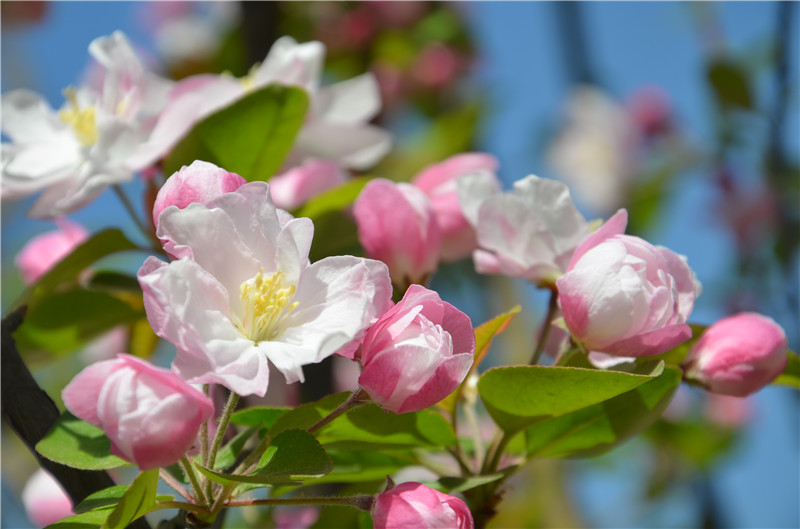 F6福鹿会_官方网站app下载