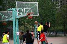 F6福鹿会_官方网站app下载