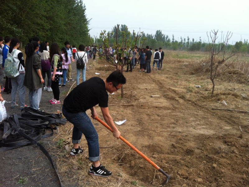 F6福鹿会_官方网站app下载