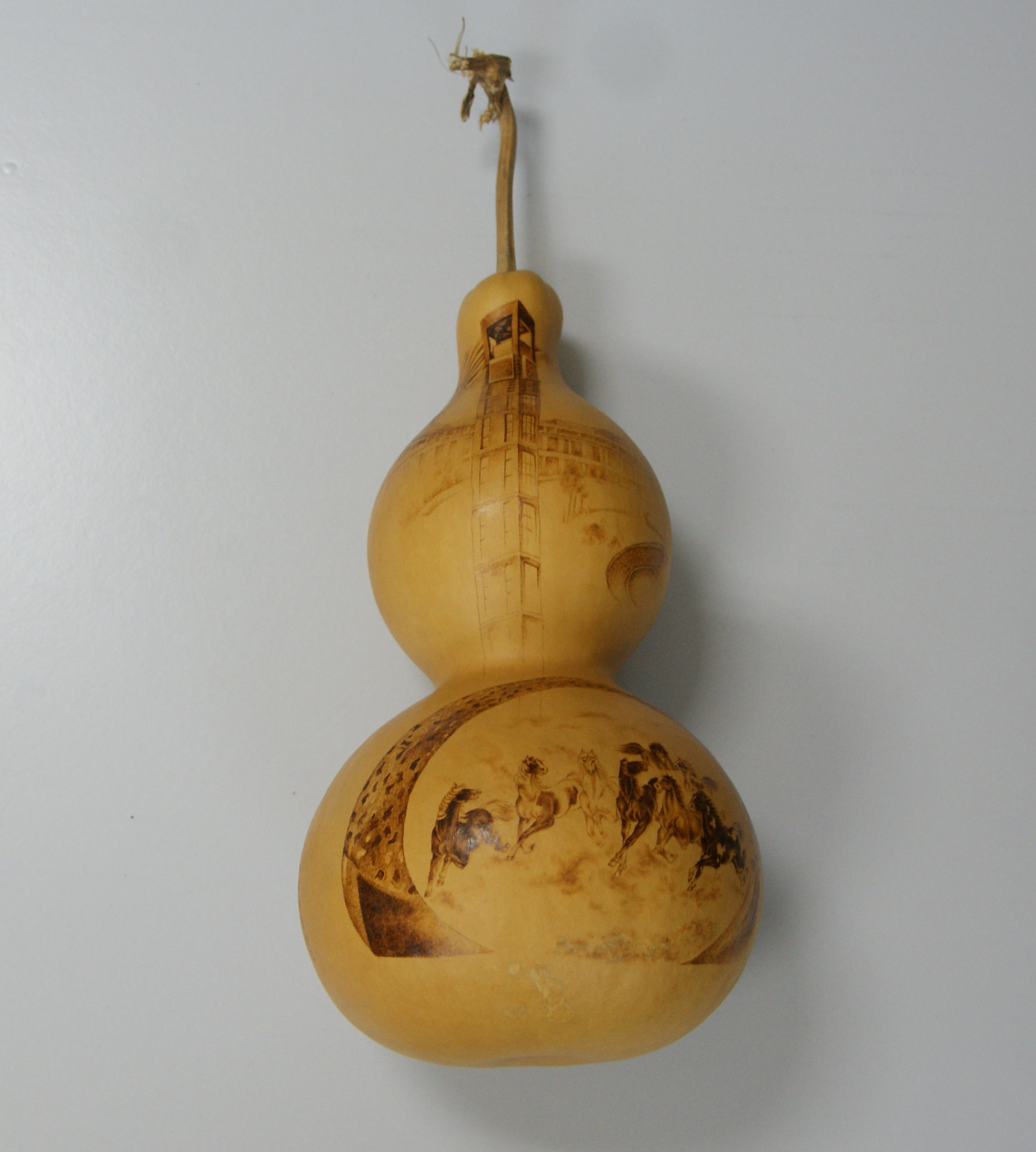 F6福鹿会_官方网站app下载