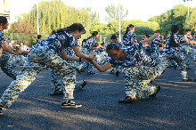 F6福鹿会_官方网站app下载